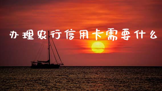 办理农行信用卡需要什么_https://m.kuaijiepai.net_资产证券化_第1张