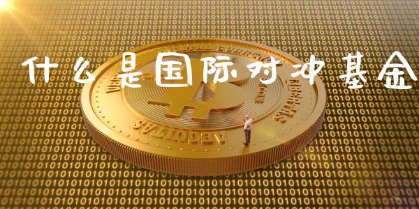什么是国际对冲基金_货币基金_第1张_货币基金_债券投资_股票交易_资产证券化 什么是国际对冲基金_https://m.kuaijiepai.net_货币基金_第1张