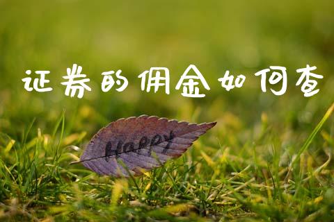 证券的佣金如何查_https://m.kuaijiepai.net_货币基金_第1张