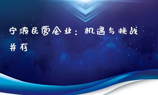 宁波民营企业：机遇与挑战并存_https://m.kuaijiepai.net_债券投资_第1张