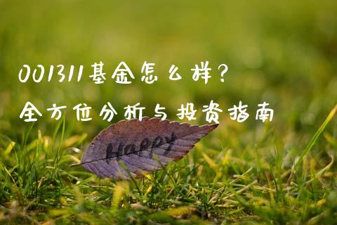 001311基金怎么样？全方位分析与投资指南_https://m.kuaijiepai.net_货币基金_第1张