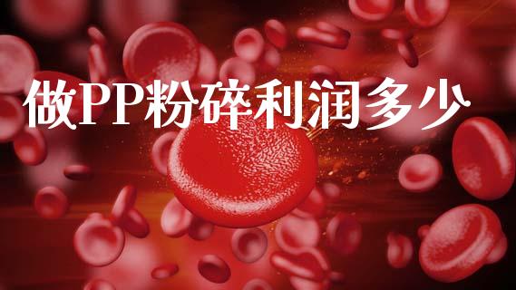 做PP粉碎利润多少_https://m.kuaijiepai.net_货币基金_第1张