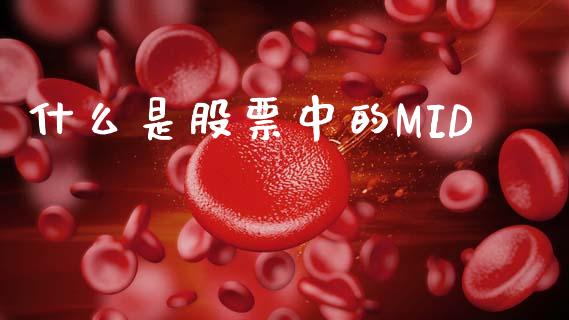 什么是股票中的MID_https://m.kuaijiepai.net_资产证券化_第1张
