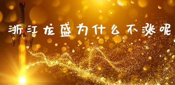 浙江龙盛为什么不涨呢_https://m.kuaijiepai.net_债券投资_第1张