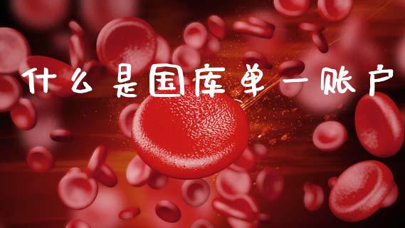 什么是国库单一账户_https://m.kuaijiepai.net_货币基金_第1张