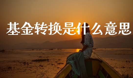 基金转换是什么意思_https://m.kuaijiepai.net_资产证券化_第1张