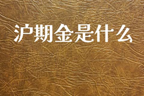 沪期金是什么_债券投资_第1张_货币基金_债券投资_股票交易_资产证券化 沪期金是什么_https://m.kuaijiepai.net_债券投资_第1张