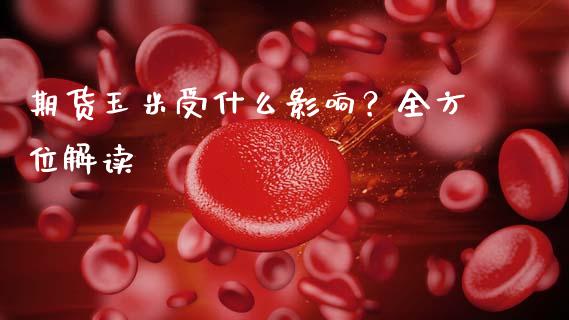 期货玉米受什么影响？全方位解读_https://m.kuaijiepai.net_货币基金_第1张