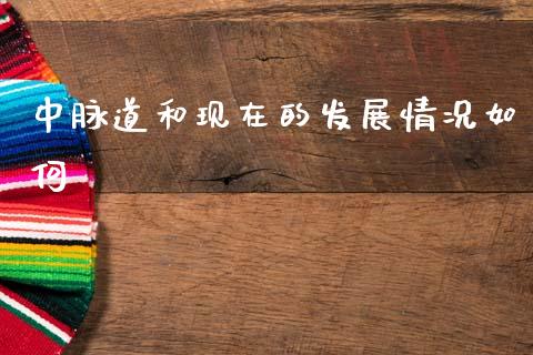 中脉道和现在的发展情况如何_https://m.kuaijiepai.net_货币基金_第1张