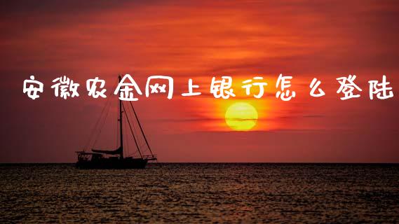 安徽农金网上银行怎么登陆_https://m.kuaijiepai.net_资产证券化_第1张
