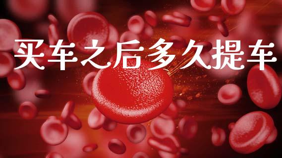买车之后多久提车_https://m.kuaijiepai.net_债券投资_第1张
