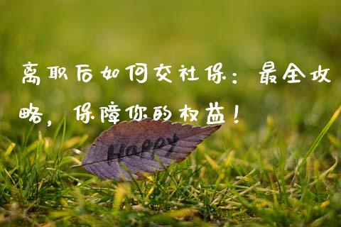 离职后如何交社保：最全攻略，保障你的权益！_https://m.kuaijiepai.net_资产证券化_第1张