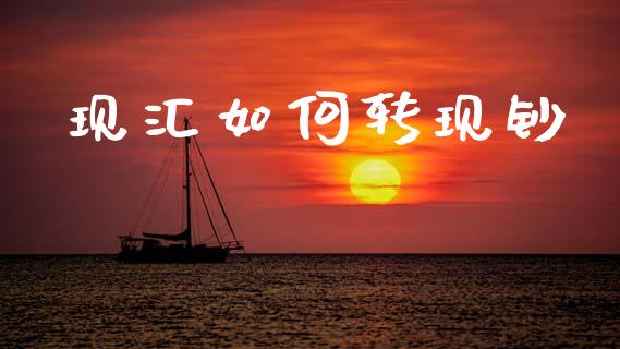 现汇如何转现钞_https://m.kuaijiepai.net_债券投资_第1张