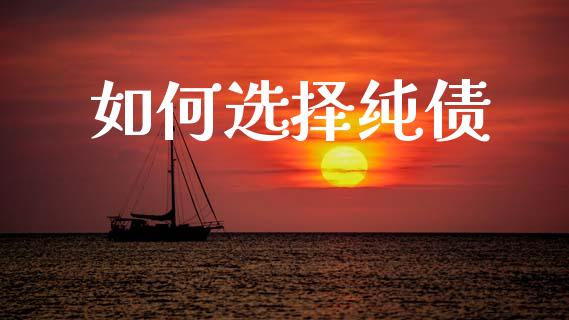 如何选择纯债_https://m.kuaijiepai.net_资产证券化_第1张
