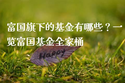 富国旗下的基金有哪些？一览富国基金全家桶_https://m.kuaijiepai.net_资产证券化_第1张