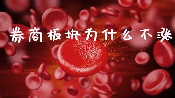 券商板块为什么不涨_https://m.kuaijiepai.net_债券投资_第1张