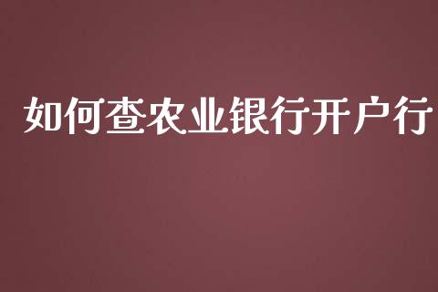 如何查农业银行开户行_https://m.kuaijiepai.net_股票交易_第1张