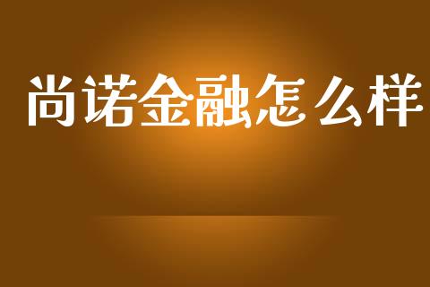 尚诺金融怎么样_https://m.kuaijiepai.net_债券投资_第1张