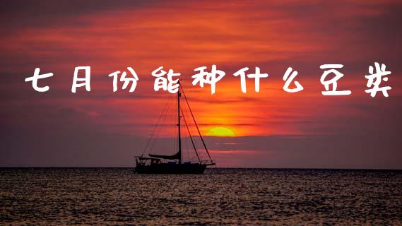 七月份能种什么豆类_债券投资_第1张_货币基金_债券投资_股票交易_资产证券化 七月份能种什么豆类_https://m.kuaijiepai.net_债券投资_第1张