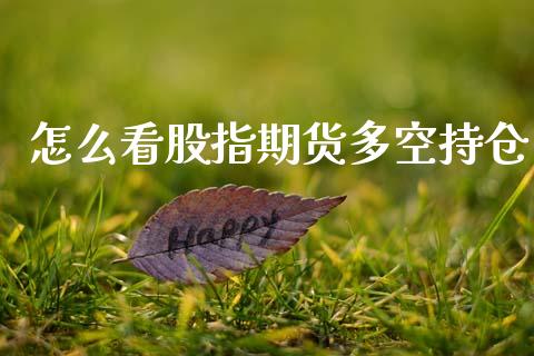 怎么看股指期货多空持仓_https://m.kuaijiepai.net_股票交易_第1张