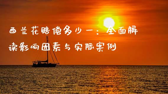 西兰花赔偿多少一：全面解读影响因素与实际案例_https://m.kuaijiepai.net_资产证券化_第1张