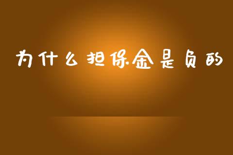 为什么担保金是负的_https://m.kuaijiepai.net_货币基金_第1张