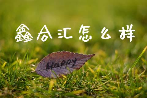 鑫合汇怎么样_https://m.kuaijiepai.net_货币基金_第1张