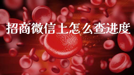 招商微信上怎么查进度_https://m.kuaijiepai.net_资产证券化_第1张