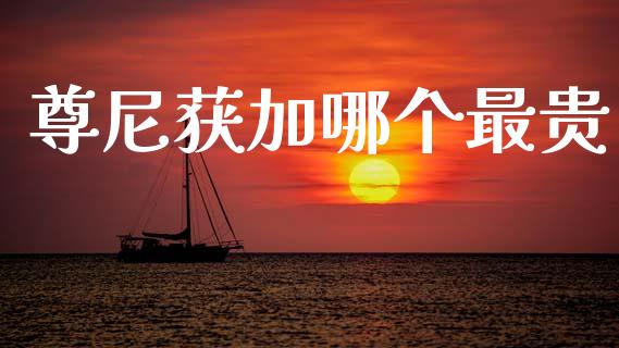 尊尼获加哪个最贵_https://m.kuaijiepai.net_资产证券化_第1张