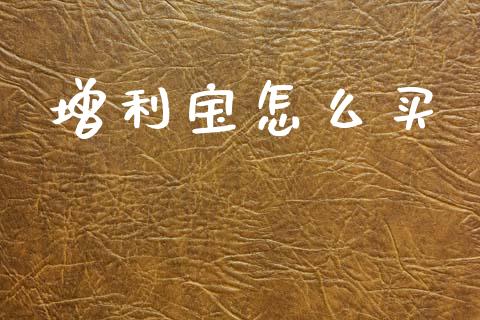 增利宝怎么买_https://m.kuaijiepai.net_货币基金_第1张