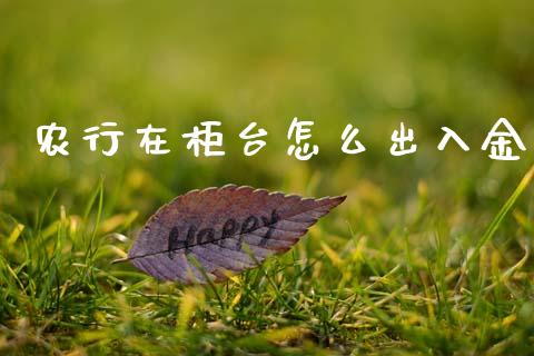 农行在柜台怎么出入金_股票交易_第1张_货币基金_债券投资_股票交易_资产证券化 农行在柜台怎么出入金_https://m.kuaijiepai.net_股票交易_第1张