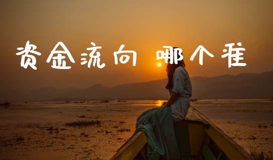 资金流向 哪个准_https://m.kuaijiepai.net_股票交易_第1张