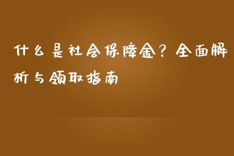 什么是社会保障金？全面解析与领取指南_https://m.kuaijiepai.net_债券投资_第1张