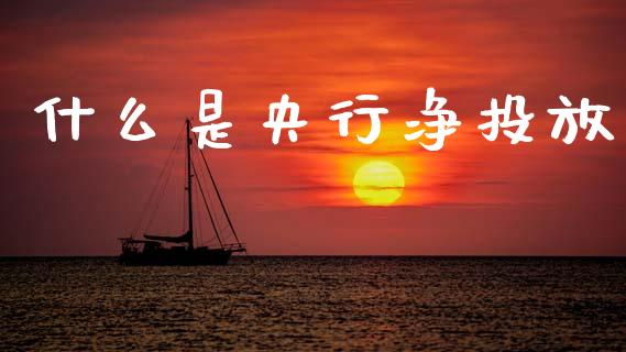 什么是央行净投放_https://m.kuaijiepai.net_货币基金_第1张