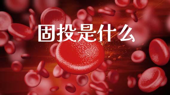 固投是什么_https://m.kuaijiepai.net_货币基金_第1张