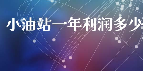 小油站一年利润多少_https://m.kuaijiepai.net_债券投资_第1张