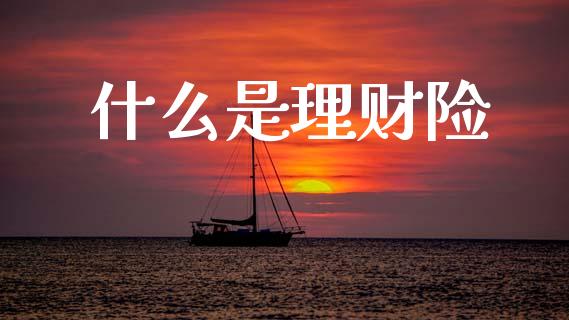什么是理财险_https://m.kuaijiepai.net_股票交易_第1张
