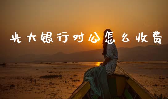光大银行对公怎么收费_https://m.kuaijiepai.net_债券投资_第1张