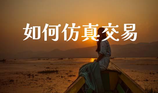 如何仿真交易_https://m.kuaijiepai.net_债券投资_第1张