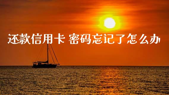 还款信用卡 密码忘记了怎么办_https://m.kuaijiepai.net_资产证券化_第1张