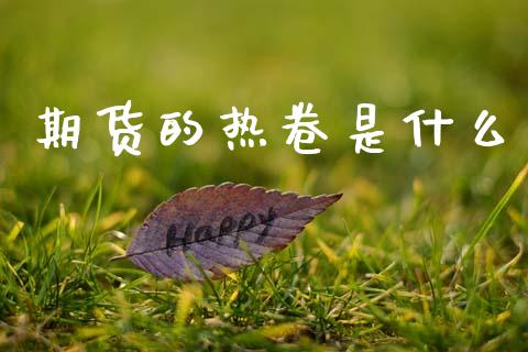 期货的热卷是什么_https://m.kuaijiepai.net_货币基金_第1张