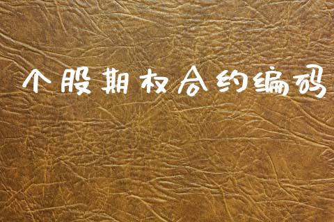 个股期权合约编码_https://m.kuaijiepai.net_资产证券化_第1张