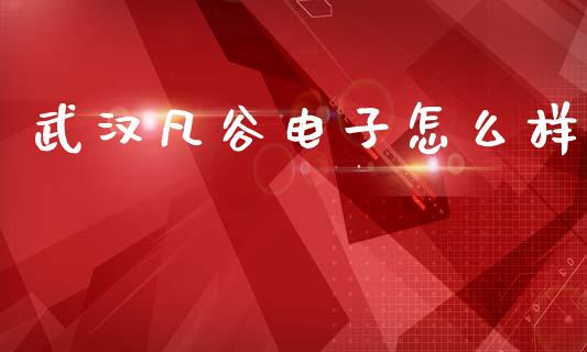 武汉凡谷电子怎么样_https://m.kuaijiepai.net_债券投资_第1张