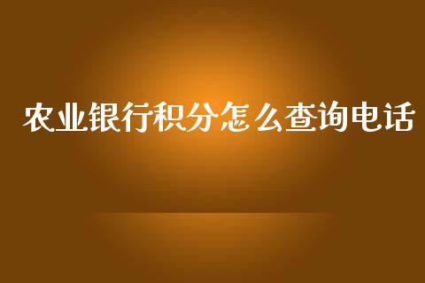 农业银行积分怎么查询电话_https://m.kuaijiepai.net_资产证券化_第1张