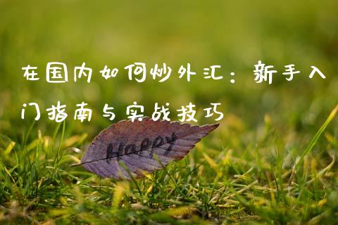 在国内如何炒外汇：新手入门指南与实战技巧_https://m.kuaijiepai.net_债券投资_第1张