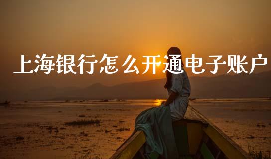 上海银行怎么开通电子账户_https://m.kuaijiepai.net_股票交易_第1张