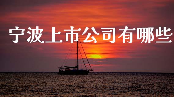 宁波上市公司有哪些_https://m.kuaijiepai.net_资产证券化_第1张