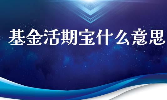 基金活期宝什么意思_https://m.kuaijiepai.net_资产证券化_第1张
