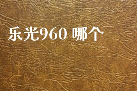乐光960 哪个_https://m.kuaijiepai.net_货币基金_第1张