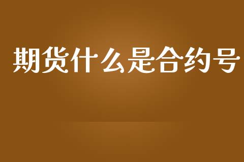 期货什么是合约号_https://m.kuaijiepai.net_债券投资_第1张